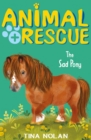 Image for The sad pony
