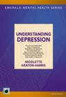 Image for Guide to understanding depression