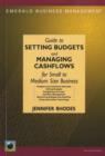 Image for Setting Budgets and Managing Cashflows