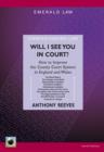 Image for Will I see you in court?  : how to improve the county court system in England &amp; Wales