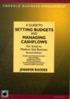 Image for A Guide To Setting Budgets And Managing Cashflows