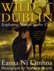 Image for Wild Dublin  : exploring nature in the city