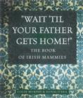 Image for Did you turn off the immersion?  : the book of Irish mammies