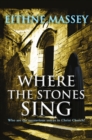 Image for Where the stones sing
