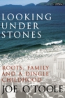 Image for Looking under stones