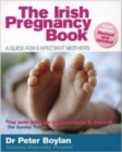 Image for The Irish pregnancy book  : a guide for expectant mothers