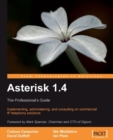 Image for Asterisk 1.4: the professional&#39;s guide : implementing, administering, and consulting on commercial IP telephony solutions
