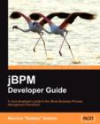 Image for jBPM Developer Guide