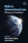 Image for NGOs in international law  : efficiency in flexibility?