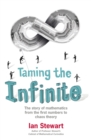 Image for Taming the infinite  : the story of mathematics