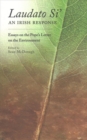 Image for Laudato Si: an Irish Response : Essays on the Pope&#39;s Letter on the Environment