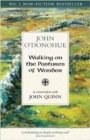 Image for Walking on the Pastures of Wonder : In Conversation with  John Quinn
