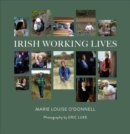 Image for Irish Working Lives