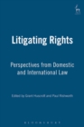 Image for Litigating rights: perspectives from domestic and international law