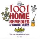 Image for 1001 little home remedies