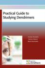 Image for Practical Guide to Studying Dendrimers