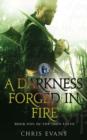 Image for A darkness forged in fire : bk. 1