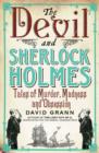 Image for The devil and Sherlock Holmes: tales of murder, madness, and obsession