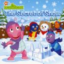 Image for The Secret of Snow
