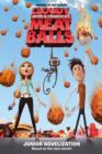 Image for Cloudy with a Chance of Meatballs Junior Novelisation