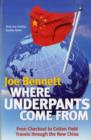 Image for Where underpants come from  : from checkout to cotton field - travels through the new China