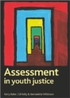 Image for Assessment in youth justice