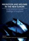 Image for Migration and Welfare in the New Europe