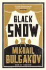 Image for Black snow  : a theatrical novel