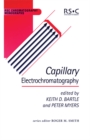 Image for Capillary electrochromatography : 7