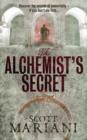 Image for The alchemist&#39;s secret