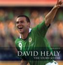 Image for David Healy  : the story so far
