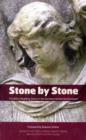 Image for Stone by Stone