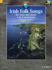 Image for Irish Folk Songs : 20 Traditional Pieces