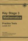 Image for KS3 Maths Practice Tests - Levels 5-8 - 2008