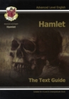 Image for Hamlet, William Shakespeare  : the text guideAdvanced level English
