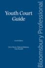 Image for Youth court guide