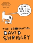 Image for What The Hell Are You Doing?: The Essential David Shrigley