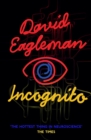 Image for Incognito