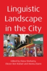 Image for Linguistic landscape in the city