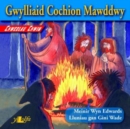 Image for Chwedlau Chwim: Gwylliaid Cochion Mawddwy