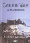Image for Castles in Wales - A Handbook