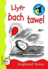 Image for Cyfres Darllen Mewn Dim: Llyfr Bach Tawel