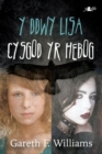 Image for Cyfres y Dderwen: Y Ddwy Lisa - Cysgod yr Hebog