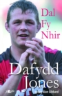 Image for Dal fy Nhir - Hunangofiant Dafydd Jones