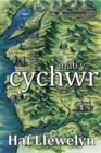 Image for Mab y cychwr