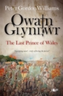 Image for Owain Glyndwr: the last Prince of Wales