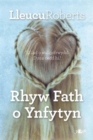 Image for Rhyw fath o ynfytyn