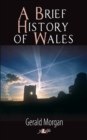 Image for Welsh history