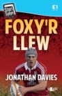 Image for Foxy&#39;r llew