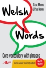 Image for Welsh Words - Geirfa Graidd, Lefel Mynediad (Gogledd Cymru/North Wales)